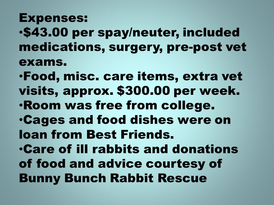 Expenses: $43.00 per spay/neuter, included medications, surgery, pre-post vet exams.