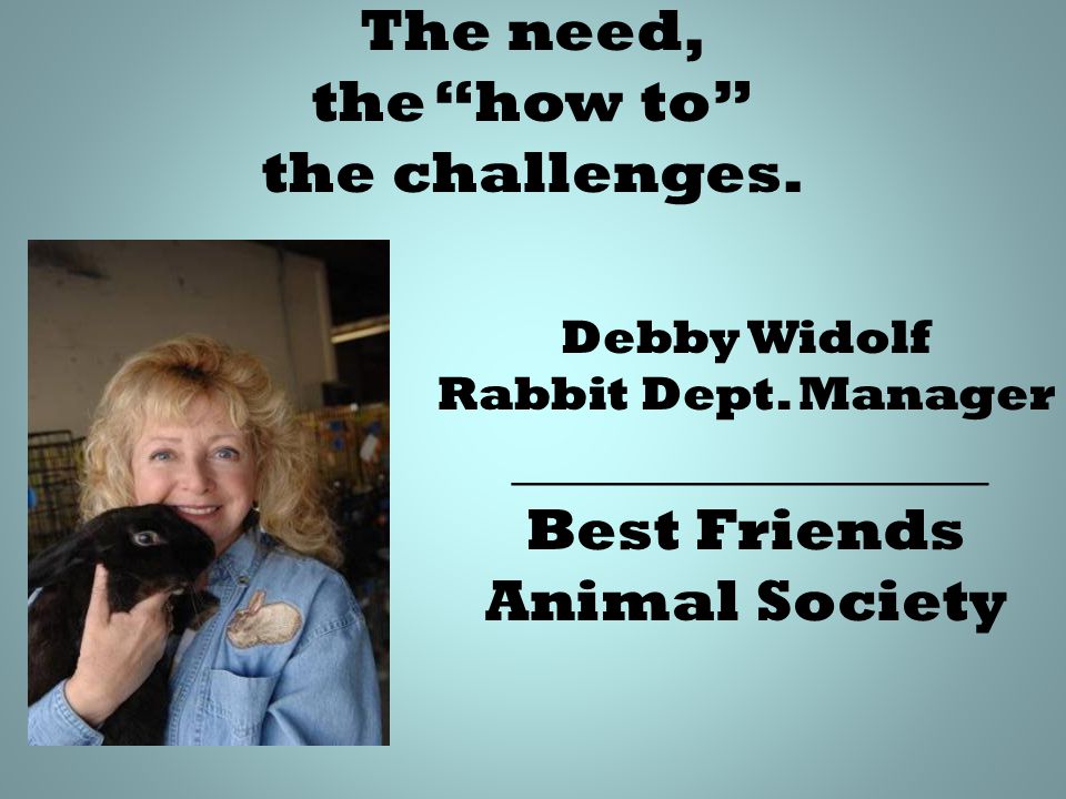 The need, the how to the challenges. Debby Widolf Rabbit Dept.