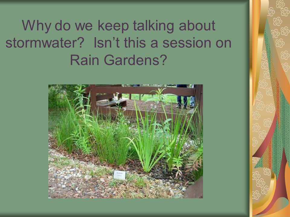 Why do we keep talking about stormwater Isn’t this a session on Rain Gardens