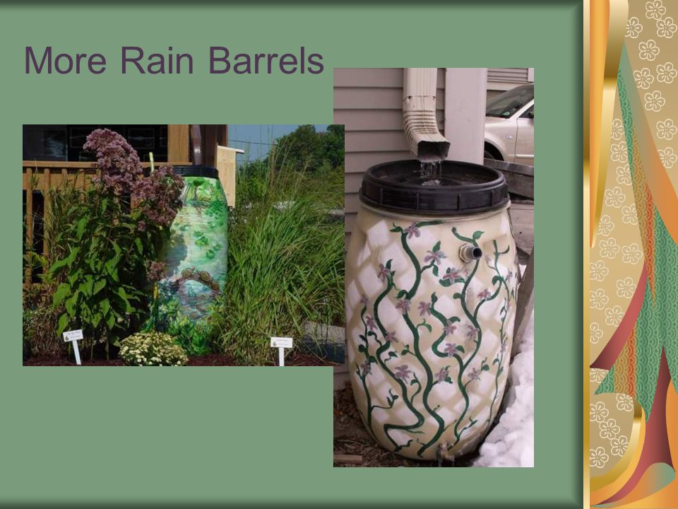 More Rain Barrels