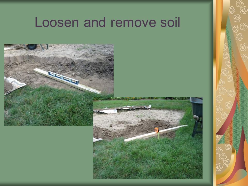 Loosen and remove soil