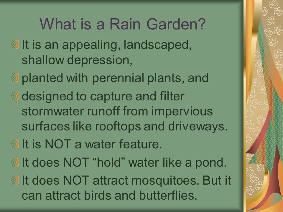 It is an appealing, landscaped, shallow depression, planted with perennial plants, and designed to capture and filter stormwater runoff from impervious surfaces like rooftops and driveways.