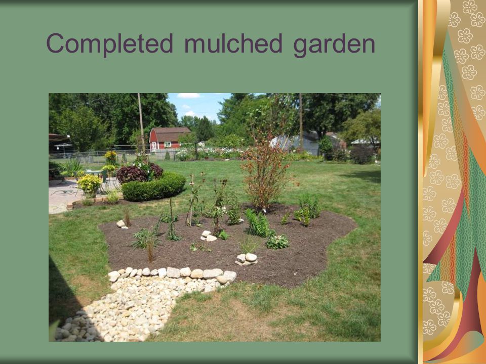 Completed mulched garden
