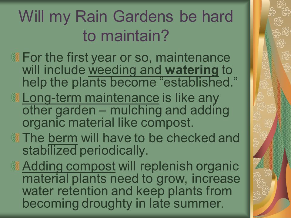 Will my Rain Gardens be hard to maintain.