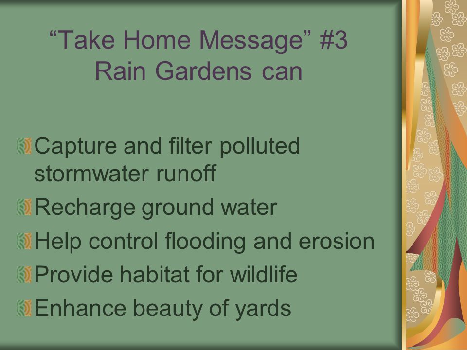 Take Home Message #3 Rain Gardens can Capture and filter polluted stormwater runoff Recharge ground water Help control flooding and erosion Provide habitat for wildlife Enhance beauty of yards
