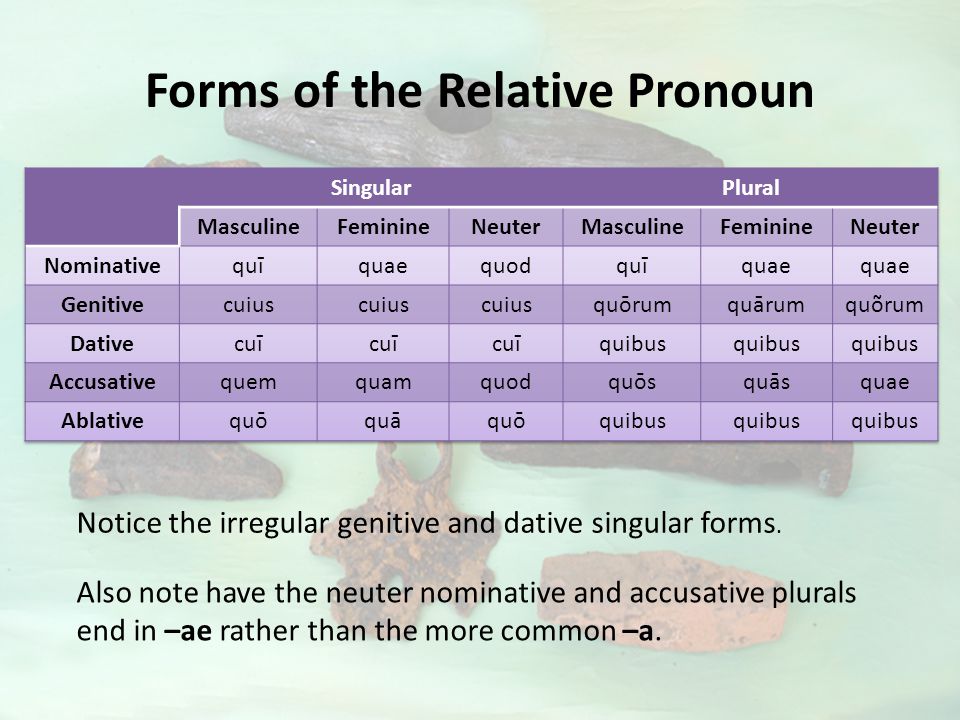 Forms of the Relative Pronoun Notice the irregular genitive and dative singular forms.