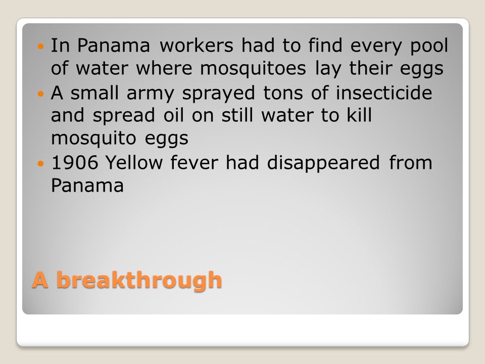 A breakthrough In Panama workers had to find every pool of water where mosquitoes lay their eggs A small army sprayed tons of insecticide and spread oil on still water to kill mosquito eggs 1906 Yellow fever had disappeared from Panama
