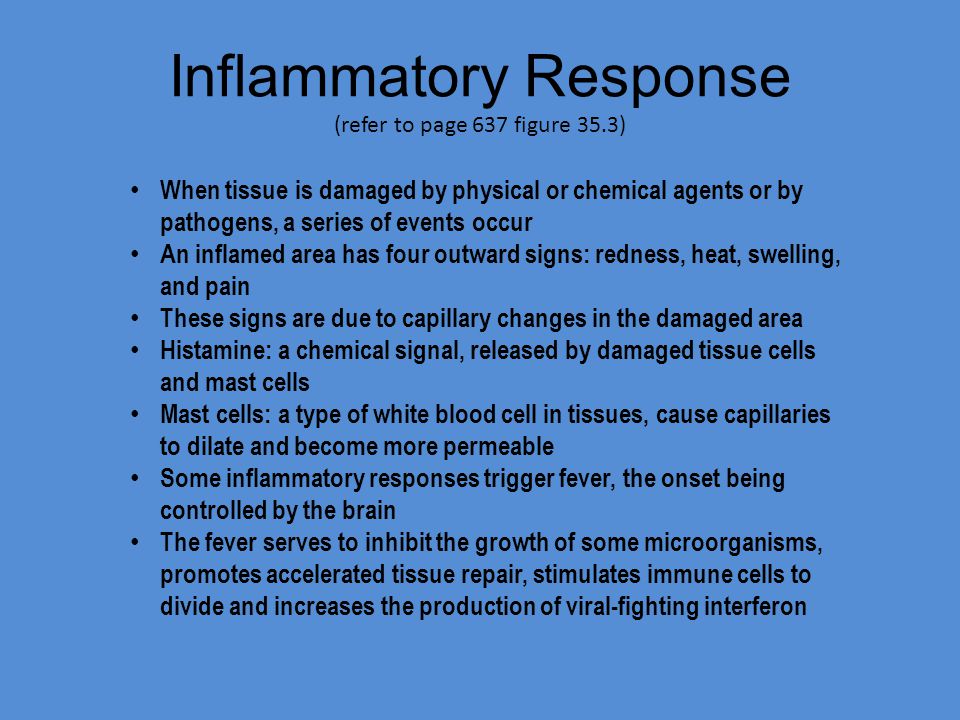 Inflammatory Response (refer to page 637 figure 35.3) When tissue is damaged by physical or chemical agents or by pathogens, a series of events occur An inflamed area has four outward signs: redness, heat, swelling, and pain These signs are due to capillary changes in the damaged area Histamine: a chemical signal, released by damaged tissue cells and mast cells Mast cells: a type of white blood cell in tissues, cause capillaries to dilate and become more permeable Some inflammatory responses trigger fever, the onset being controlled by the brain The fever serves to inhibit the growth of some microorganisms, promotes accelerated tissue repair, stimulates immune cells to divide and increases the production of viral-fighting interferon
