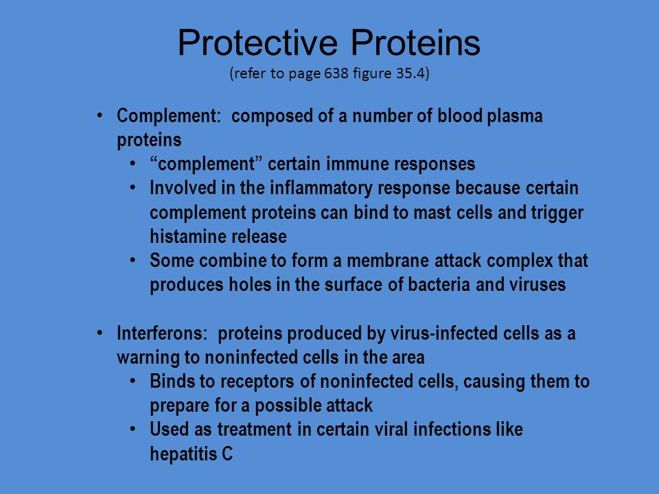 Protective Proteins (refer to page 638 figure 35.4) Complement: composed of a number of blood plasma proteins complement certain immune responses Involved in the inflammatory response because certain complement proteins can bind to mast cells and trigger histamine release Some combine to form a membrane attack complex that produces holes in the surface of bacteria and viruses Interferons: proteins produced by virus-infected cells as a warning to noninfected cells in the area Binds to receptors of noninfected cells, causing them to prepare for a possible attack Used as treatment in certain viral infections like hepatitis C