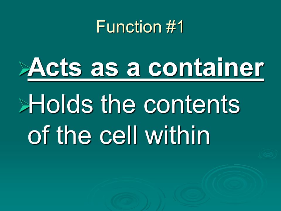 Function #1  Acts as a container  Holds the contents of the cell within