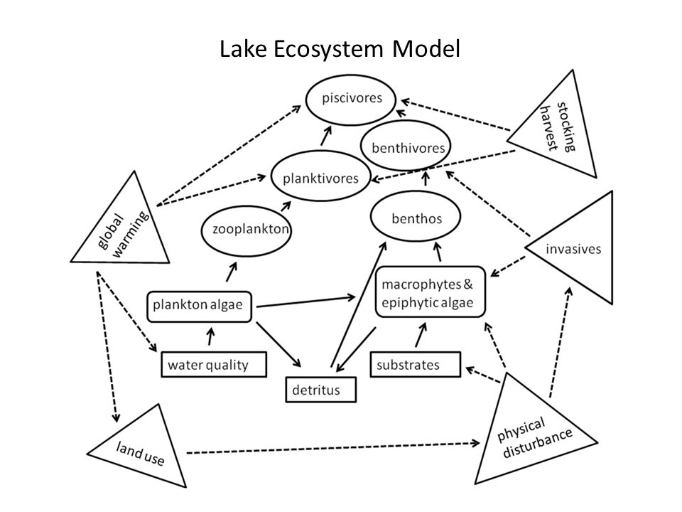 Lake Ecosystem Model