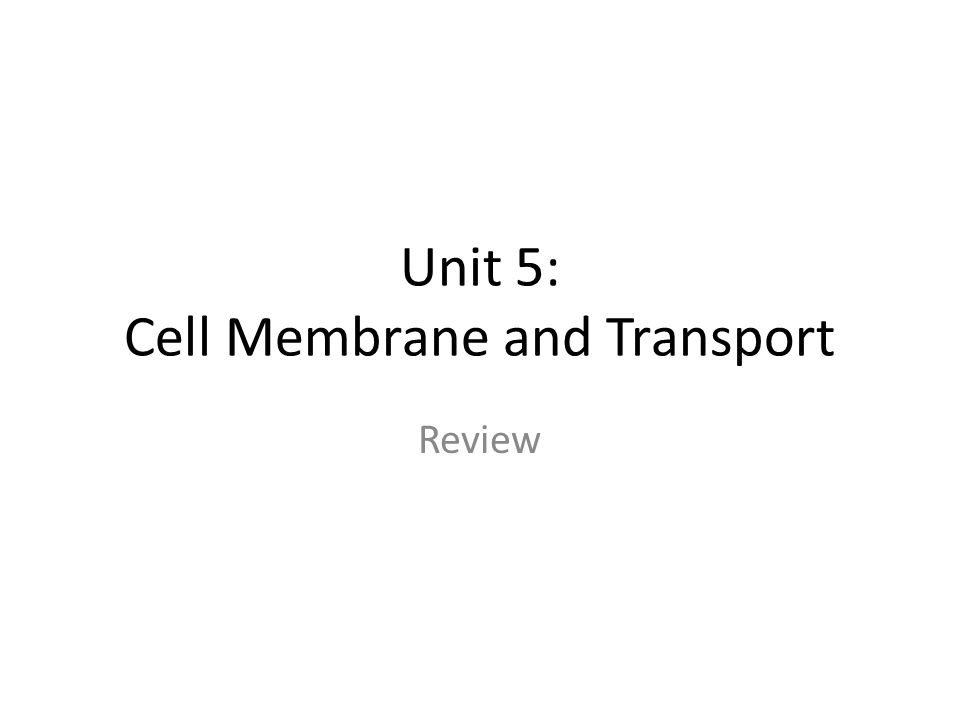 Unit 5: Cell Membrane and Transport Review