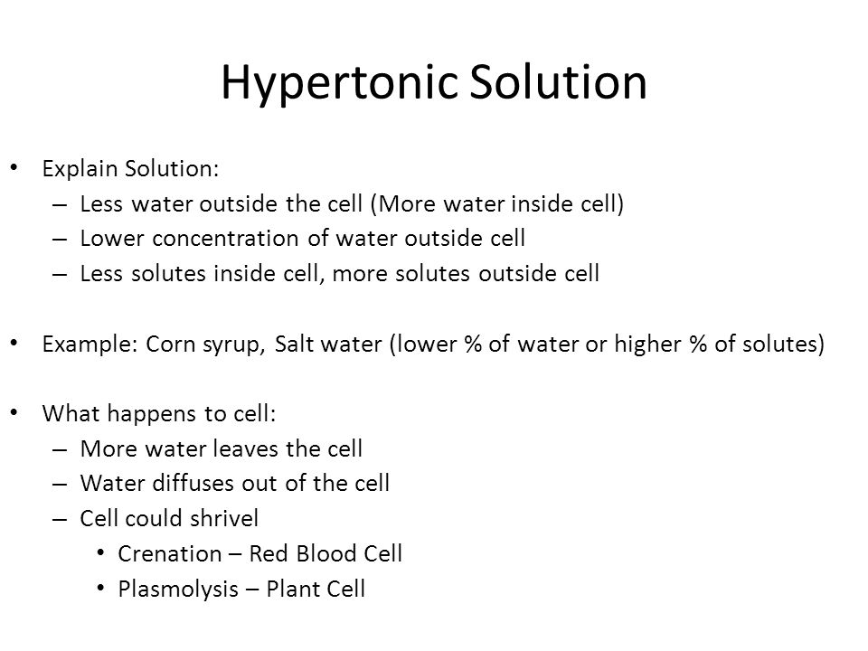 Hypertonic Solution Explain Solution: – Less water outside the cell (More water inside cell) – Lower concentration of water outside cell – Less solutes inside cell, more solutes outside cell Example: Corn syrup, Salt water (lower % of water or higher % of solutes) What happens to cell: – More water leaves the cell – Water diffuses out of the cell – Cell could shrivel Crenation – Red Blood Cell Plasmolysis – Plant Cell