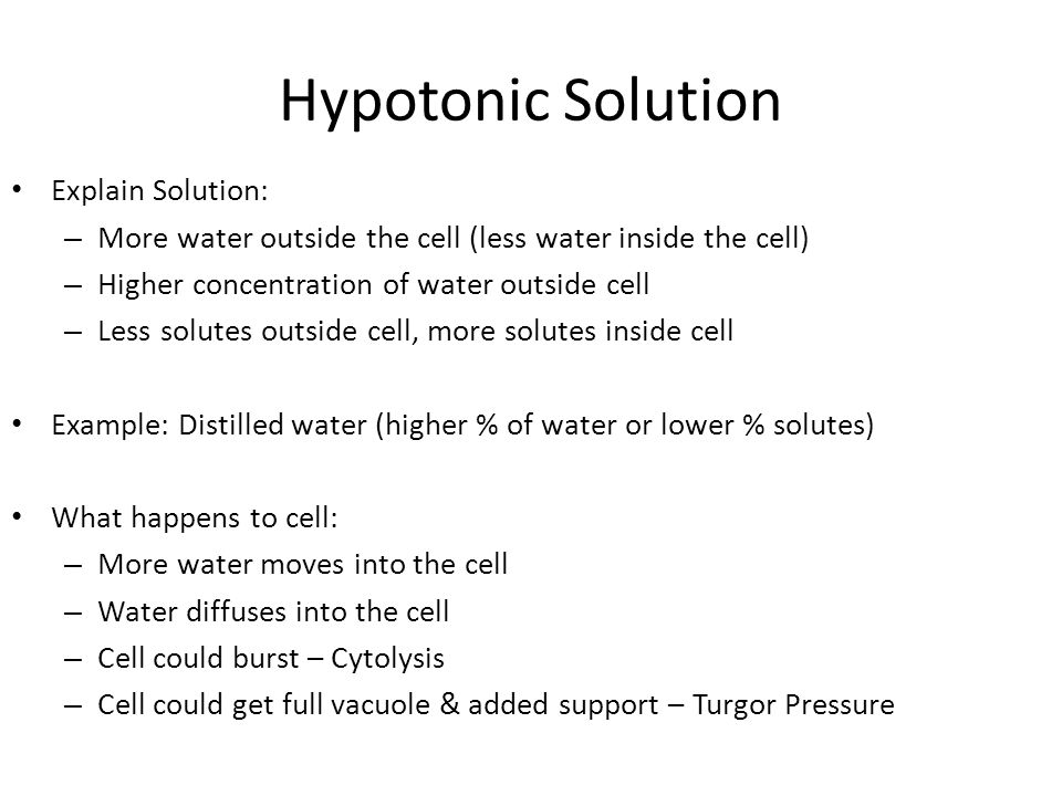 Hypotonic Solution Explain Solution: – More water outside the cell (less water inside the cell) – Higher concentration of water outside cell – Less solutes outside cell, more solutes inside cell Example: Distilled water (higher % of water or lower % solutes) What happens to cell: – More water moves into the cell – Water diffuses into the cell – Cell could burst – Cytolysis – Cell could get full vacuole & added support – Turgor Pressure