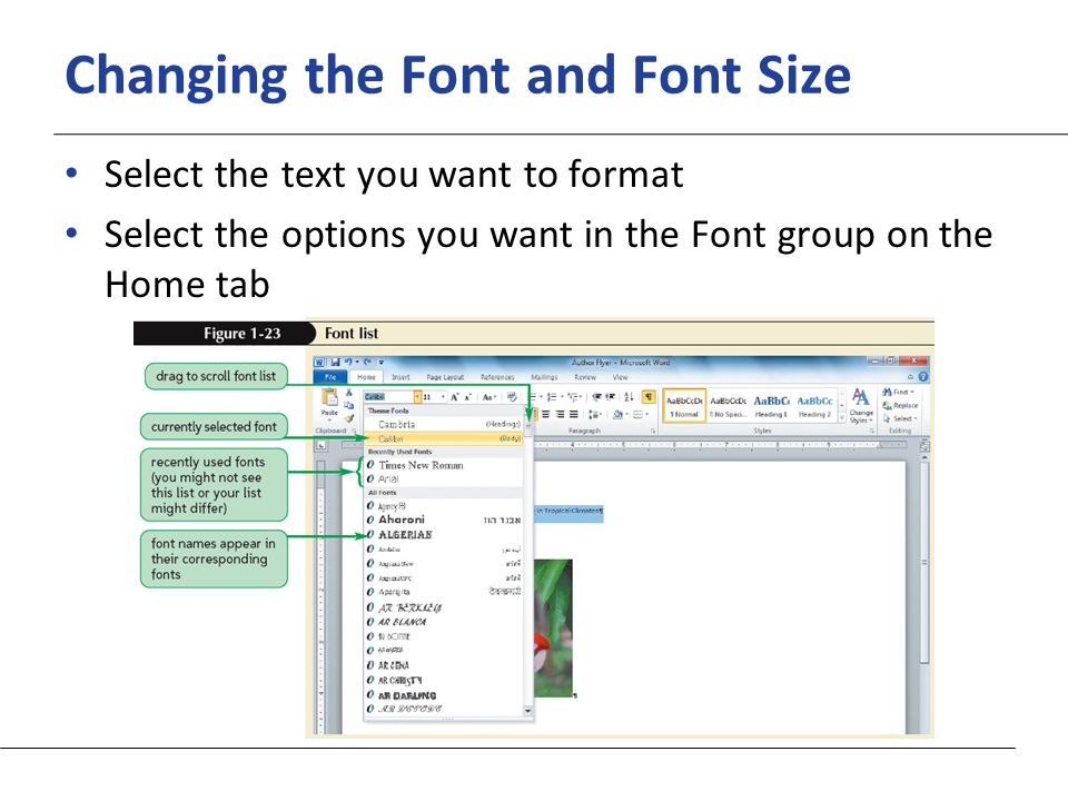 XP Changing the Font and Font Size Select the text you want to format Select the options you want in the Font group on the Home tab