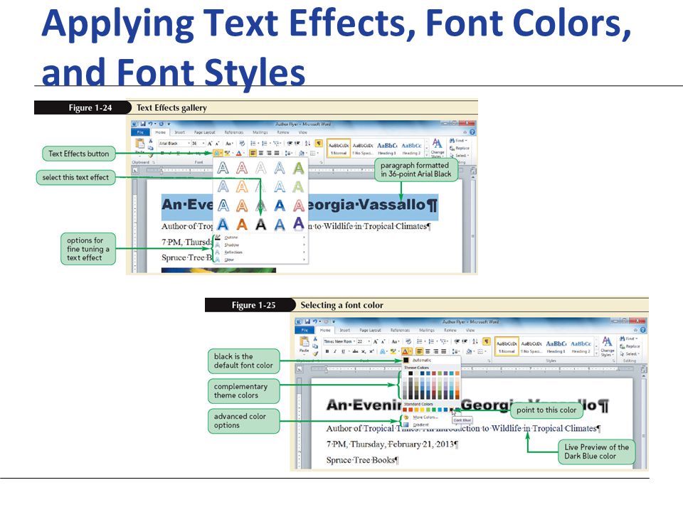 XP Applying Text Effects, Font Colors, and Font Styles