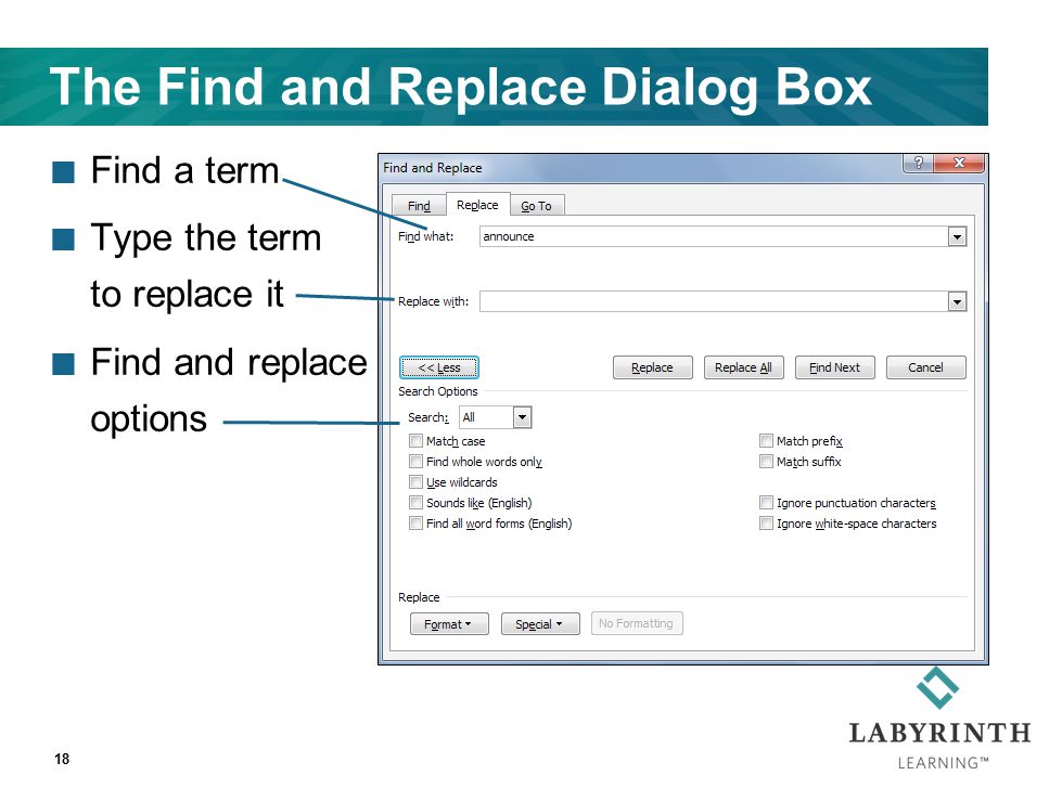 The Find and Replace Dialog Box Find a term Type the term to replace it Find and replace options 18