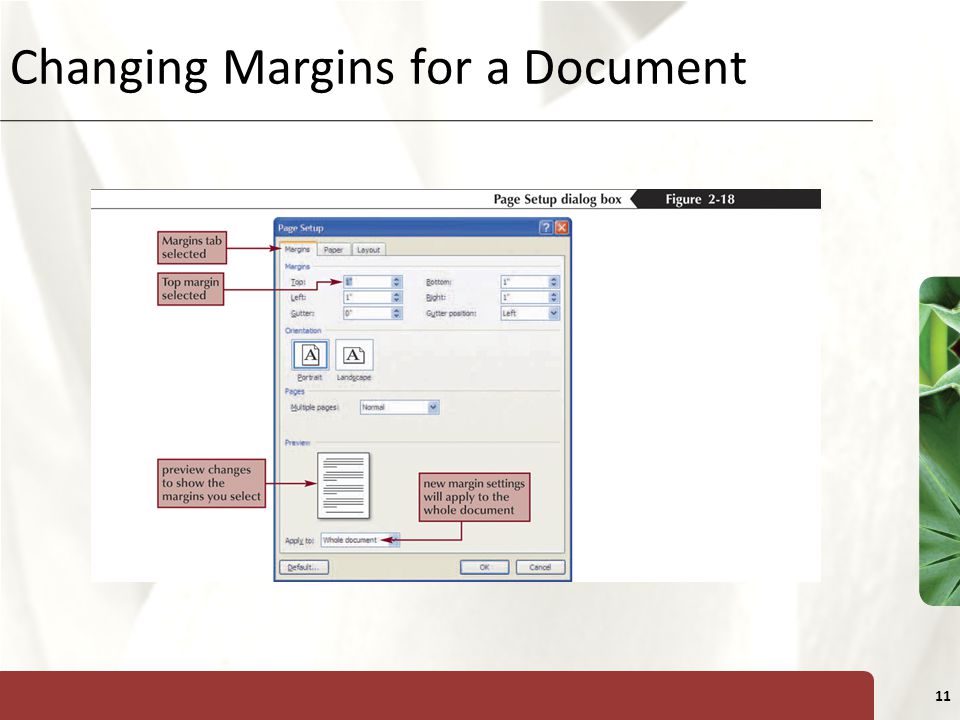 XP 11 Changing Margins for a Document