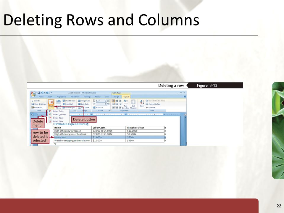 XP 22 Deleting Rows and Columns