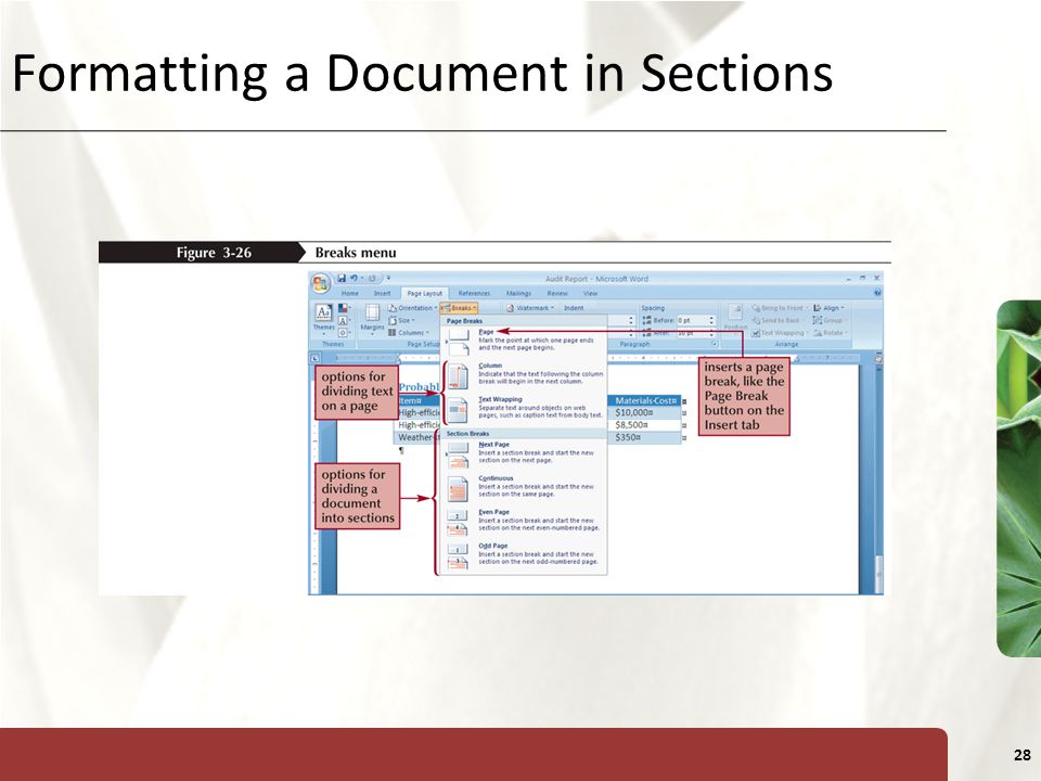 XP 28 Formatting a Document in Sections