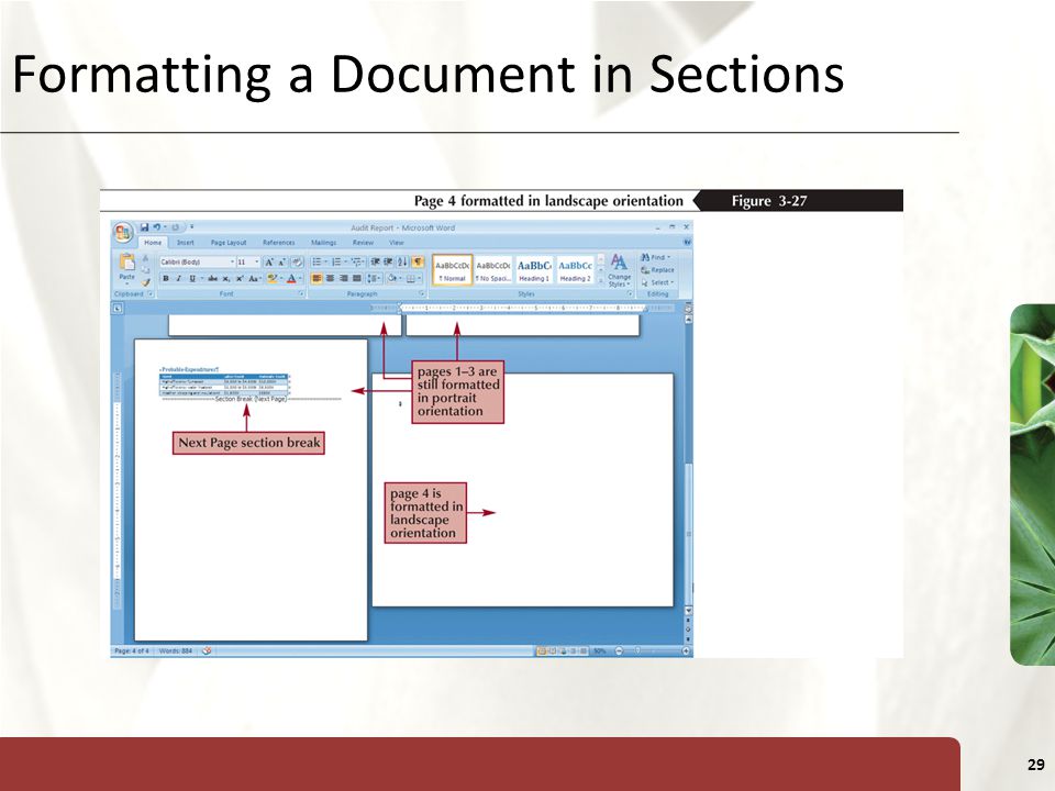 XP 29 Formatting a Document in Sections