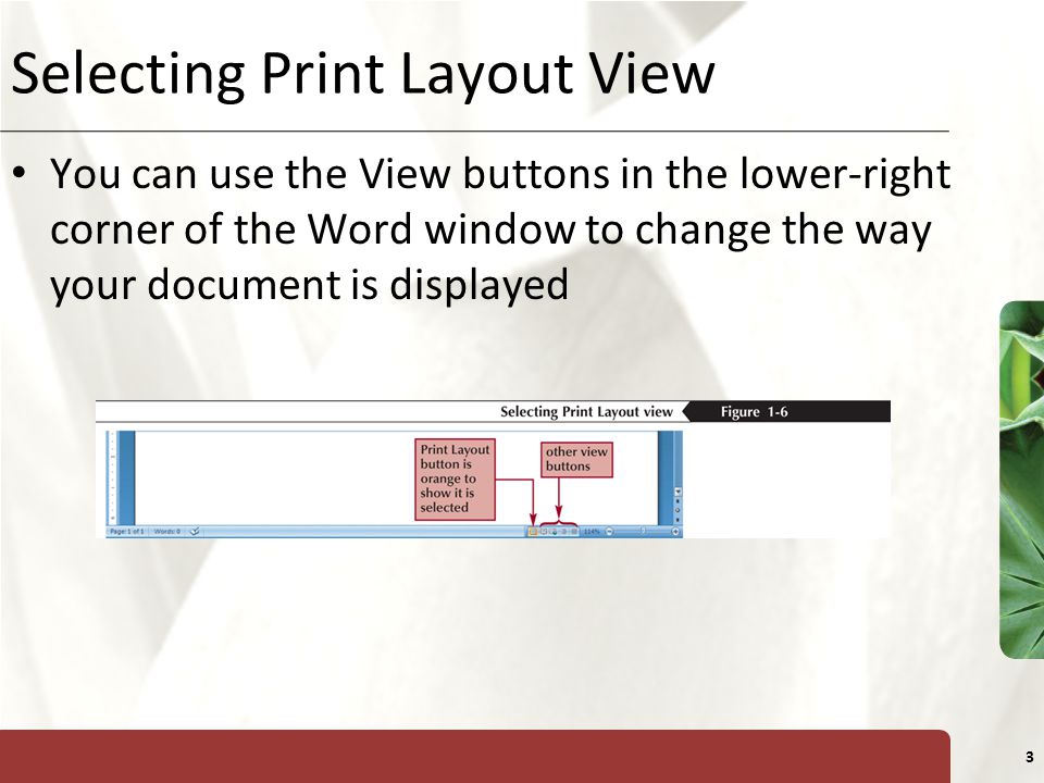 XP 3 Selecting Print Layout View You can use the View buttons in the lower-right corner of the Word window to change the way your document is displayed