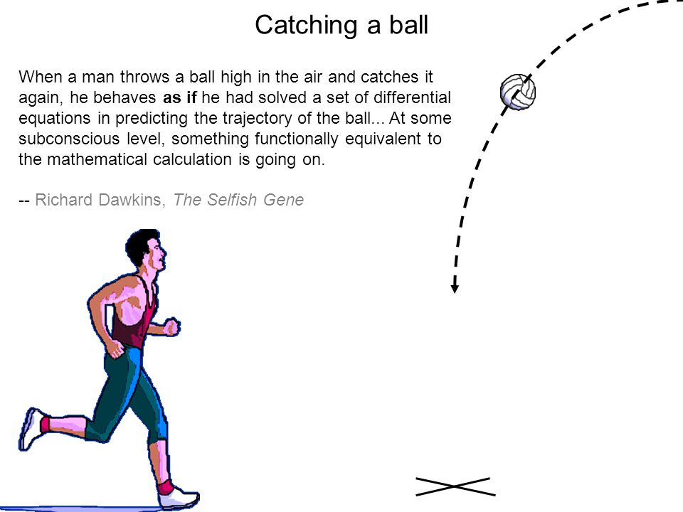 Catching a ball When a man throws a ball high in the air and catches it again, he behaves as if he had solved a set of differential equations in predicting the trajectory of the ball...