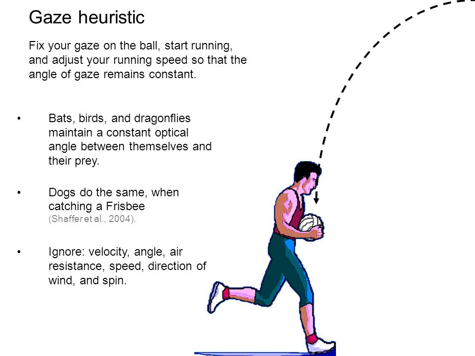 Gaze heuristic Fix your gaze on the ball, start running, and adjust your running speed so that the angle of gaze remains constant.