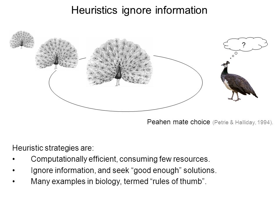 Heuristics ignore information Peahen mate choice (Petrie & Halliday, 1994).