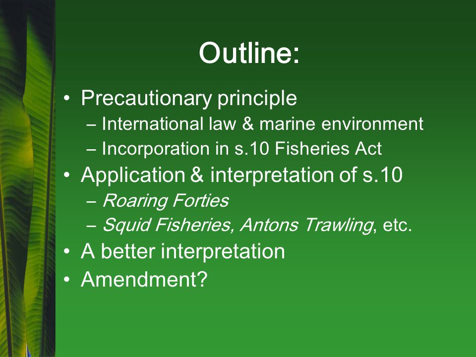 Outline: Precautionary principle –International law & marine environment –Incorporation in s.10 Fisheries Act Application & interpretation of s.10 –Roaring Forties –Squid Fisheries, Antons Trawling, etc.