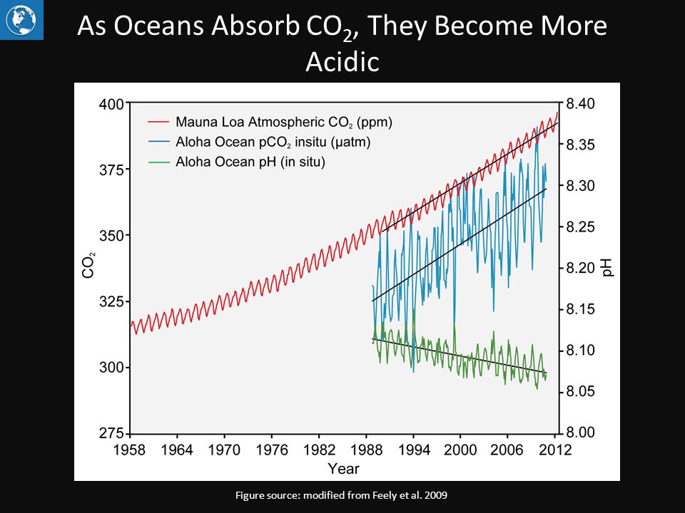 As Oceans Absorb CO 2, They Become More Acidic Figure source: modified from Feely et al. 2009
