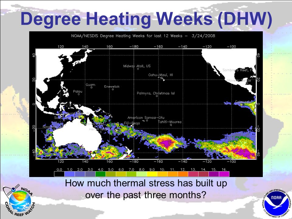 Degree Heating Weeks (DHW) How much thermal stress has built up over the past three months