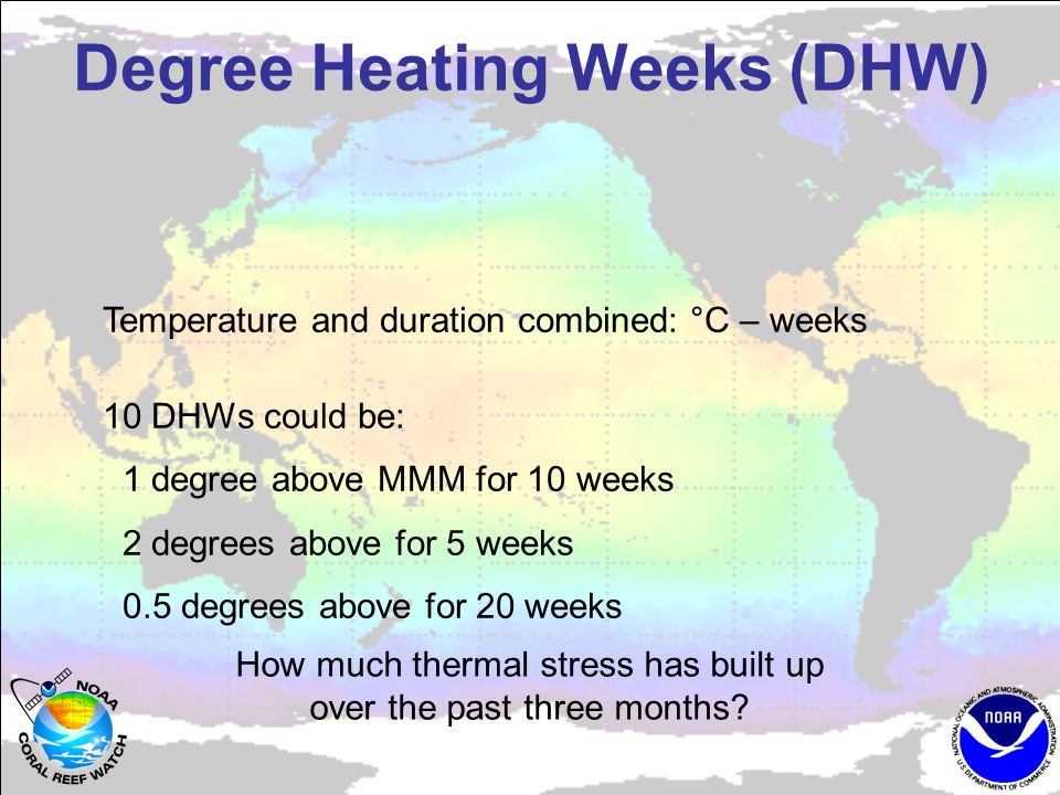 Degree Heating Weeks (DHW) How much thermal stress has built up over the past three months.