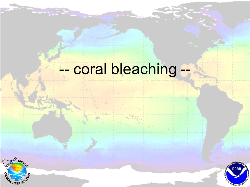 -- coral bleaching --