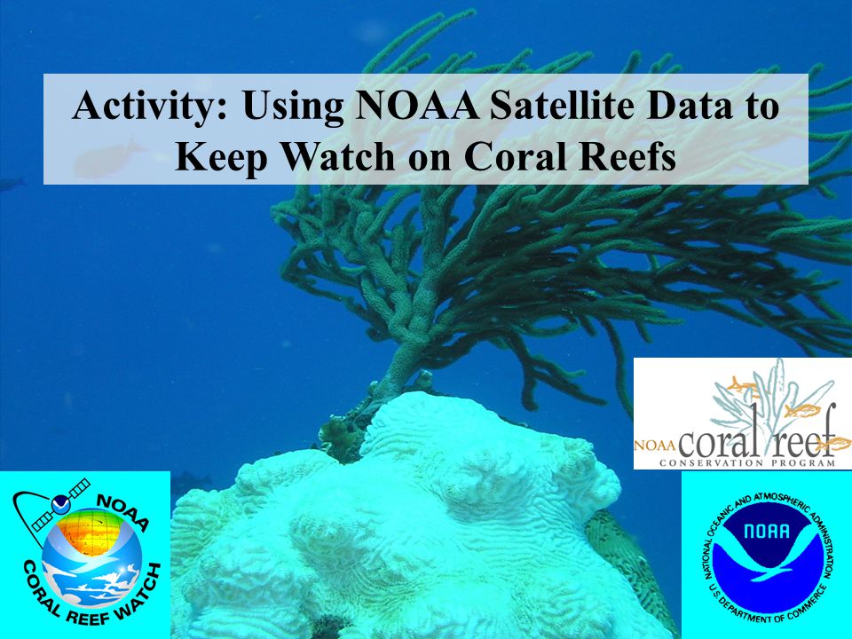 Activity: Using NOAA Satellite Data to Keep Watch on Coral Reefs