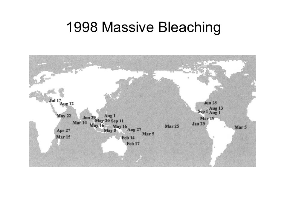 1998 Massive Bleaching