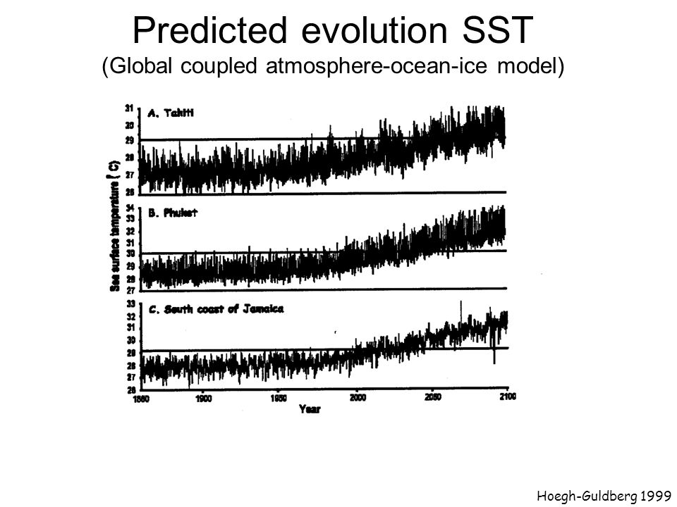 Predicted evolution SST (Global coupled atmosphere-ocean-ice model) Hoegh-Guldberg 1999