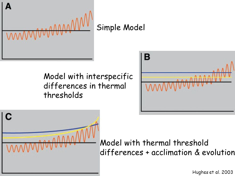 Simple Model Model with interspecific differences in thermal thresholds Model with thermal threshold differences + acclimation & evolution Hughes et al.
