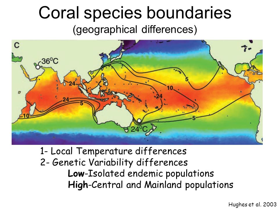 Coral species boundaries (geographical differences) 1- Local Temperature differences 2- Genetic Variability differences Low-Isolated endemic populations High-Central and Mainland populations Hughes et al.