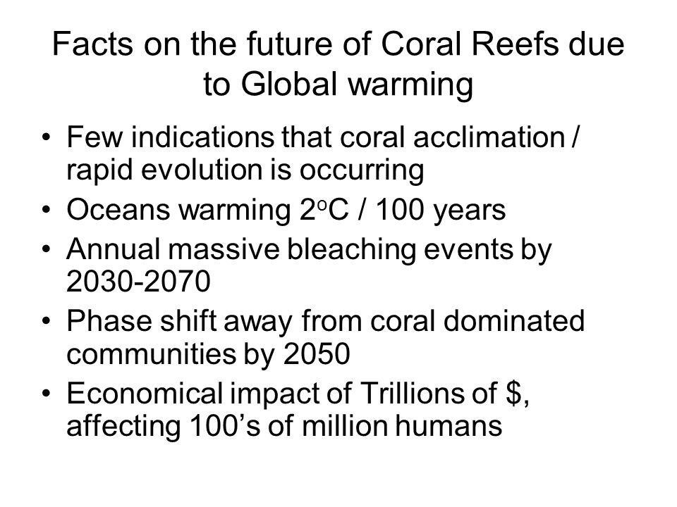 Facts on the future of Coral Reefs due to Global warming Few indications that coral acclimation / rapid evolution is occurring Oceans warming 2 o C / 100 years Annual massive bleaching events by Phase shift away from coral dominated communities by 2050 Economical impact of Trillions of $, affecting 100’s of million humans