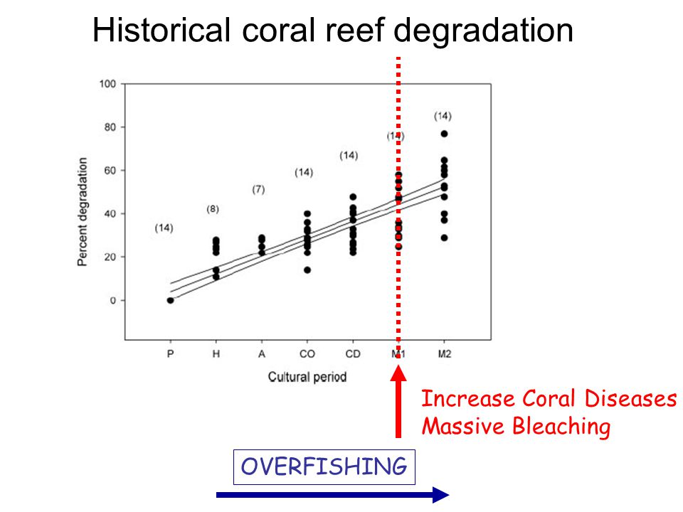 Historical coral reef degradation Increase Coral Diseases Massive Bleaching OVERFISHING