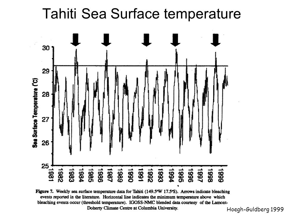 Tahiti Sea Surface temperature Hoegh-Guldberg 1999