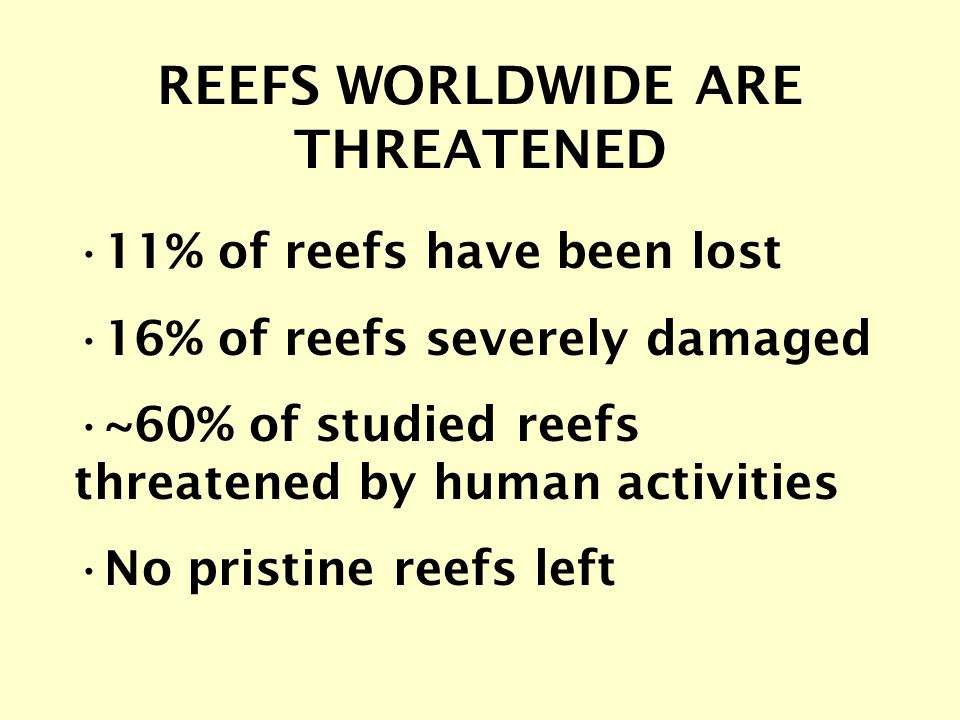 REEFS WORLDWIDE ARE THREATENED 11% of reefs have been lost 16% of reefs severely damaged ~60% of studied reefs threatened by human activities No pristine reefs left