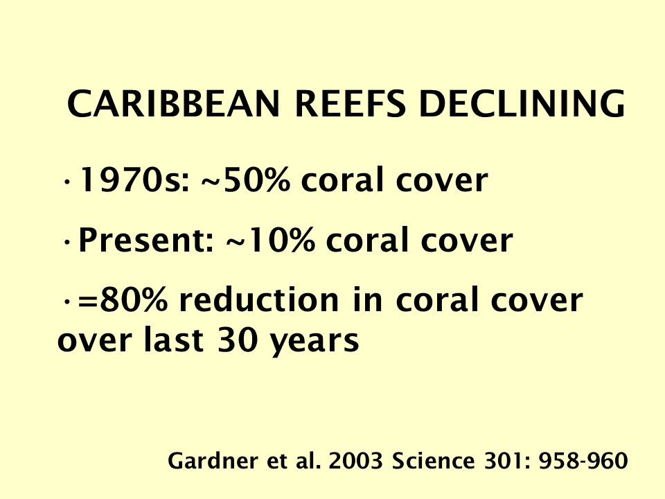 CARIBBEAN REEFS DECLINING 1970s: ~50% coral cover Present: ~10% coral cover =80% reduction in coral cover over last 30 years Gardner et al.