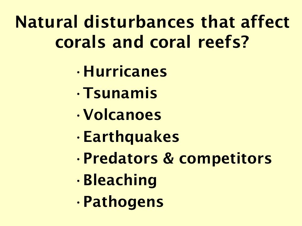 Natural disturbances that affect corals and coral reefs.