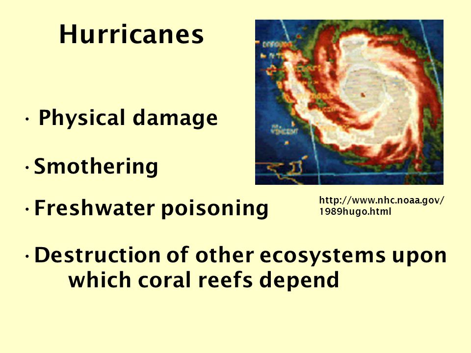 Hurricanes Physical damage hugo.html Destruction of other ecosystems upon which coral reefs depend Freshwater poisoning Smothering