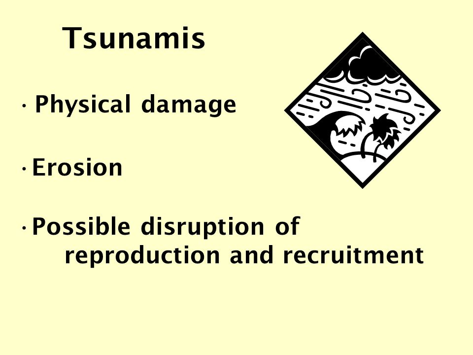 Tsunamis Physical damage Possible disruption of reproduction and recruitment Erosion