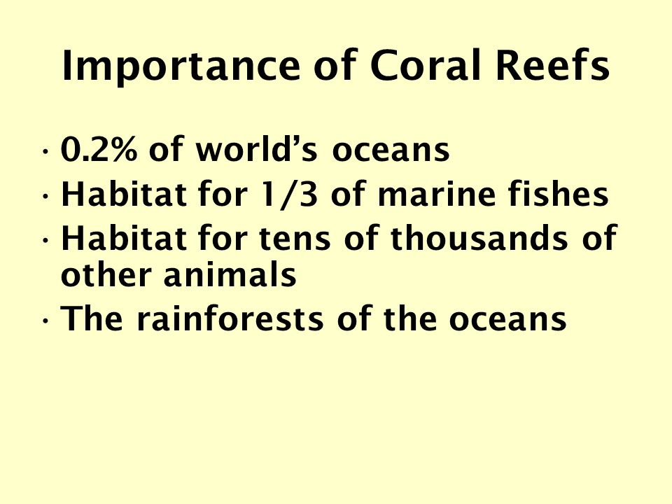 Importance of Coral Reefs 0.2% of world’s oceans Habitat for 1/3 of marine fishes Habitat for tens of thousands of other animals The rainforests of the oceans
