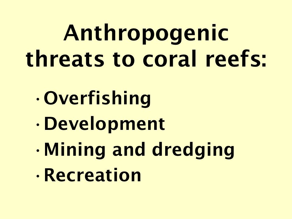Anthropogenic threats to coral reefs: Overfishing Development Mining and dredging Recreation