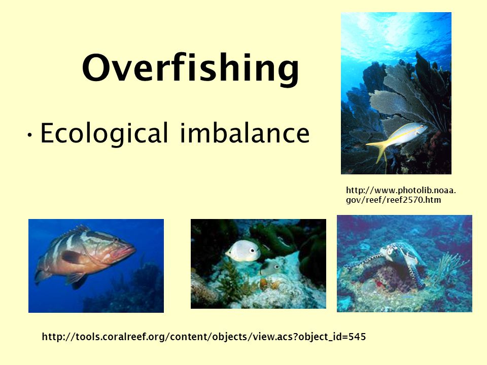 Overfishing Ecological imbalance   object_id=545